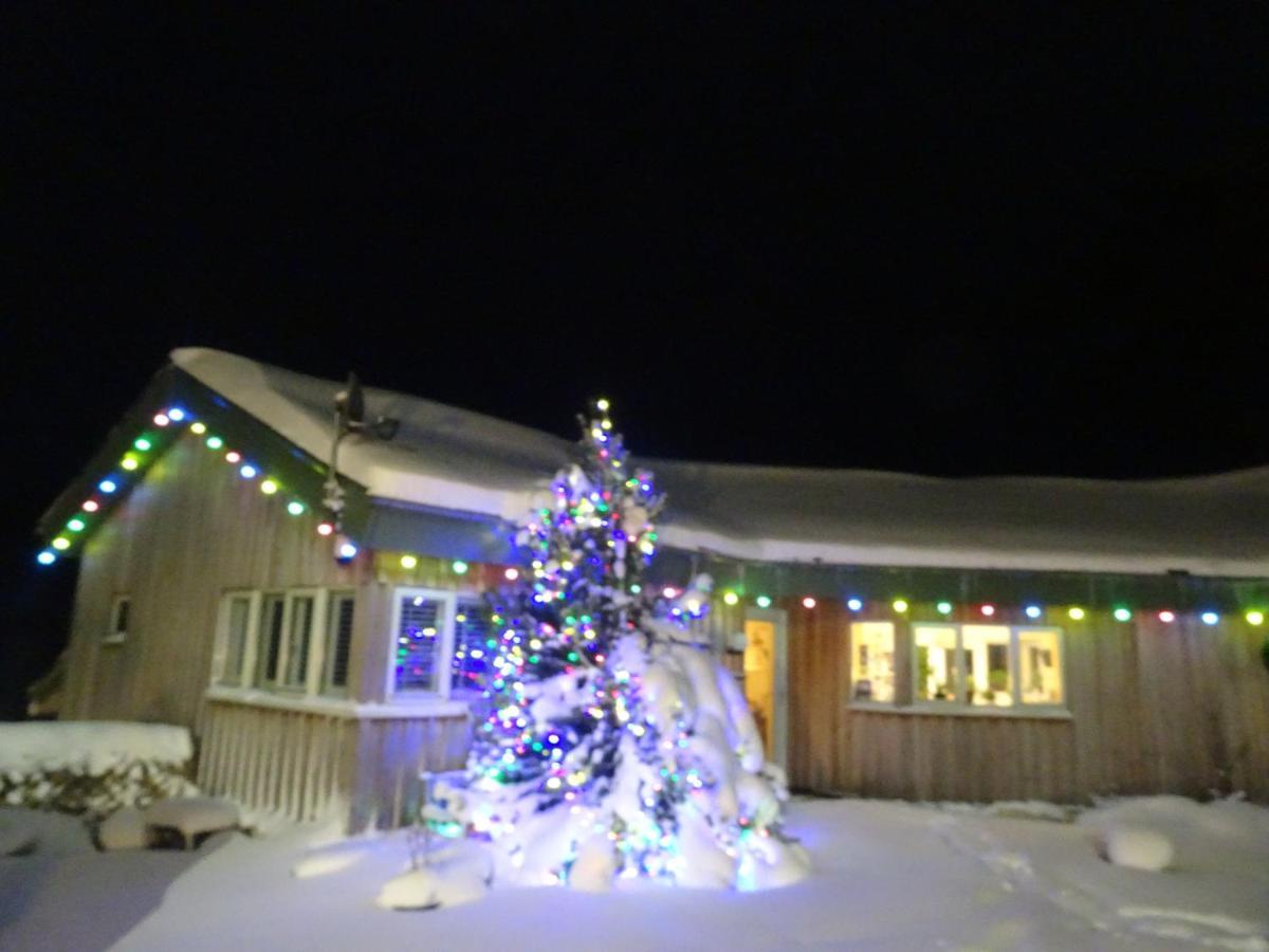 Black Burn Lodge B & B Newcastleton Buitenkant foto