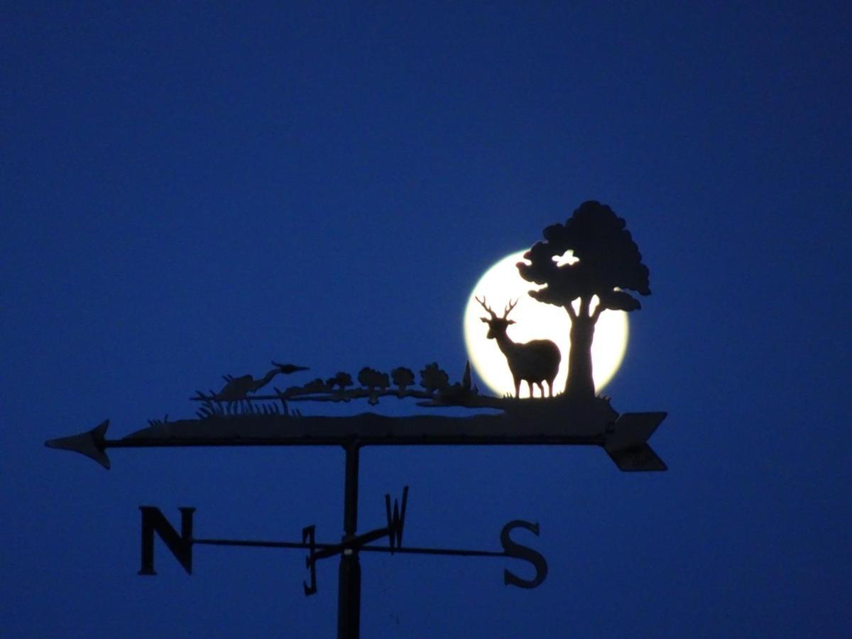 Black Burn Lodge B & B Newcastleton Buitenkant foto